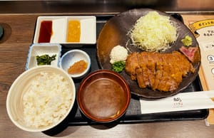 JAPAN FOOD 11