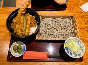 JAPAN FOOD 23